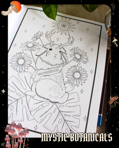Journal anti-anxiété format voyage : Mystic Botanicals