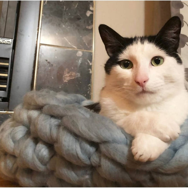 Chunky Yarn Pet Bed - Shop Motif
