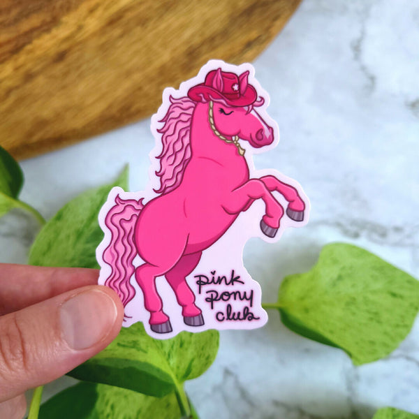 Pink Pony Club 3