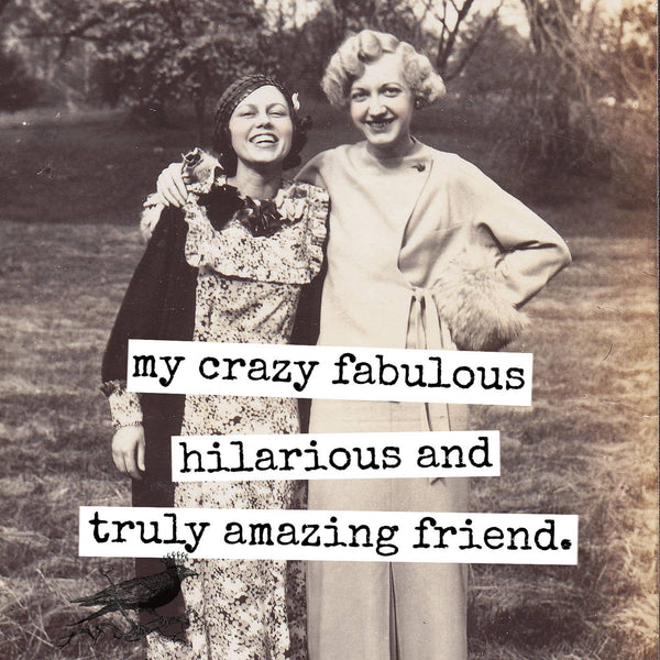 HAPPY BIRTHDAY My Crazy Fabulous Hilarious And Truly Amazing by Raven's Rest Studio