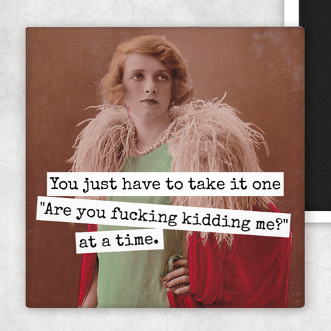 Fridge Magnet. You Just Have To Take It One "Are You Fucking