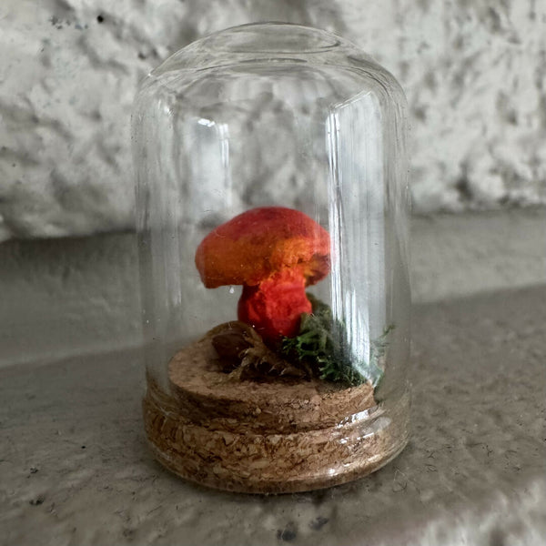 Lil’ Terrarium - Humble Harriet (small)