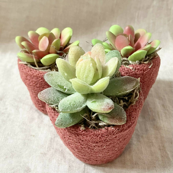 Wild Rose Faux Succulent Planter