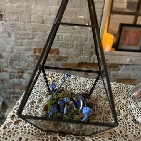 Large terrarium
