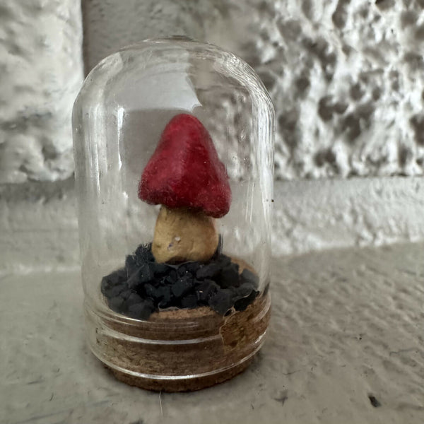 Lil’ Terrarium - Peekaboo (small)