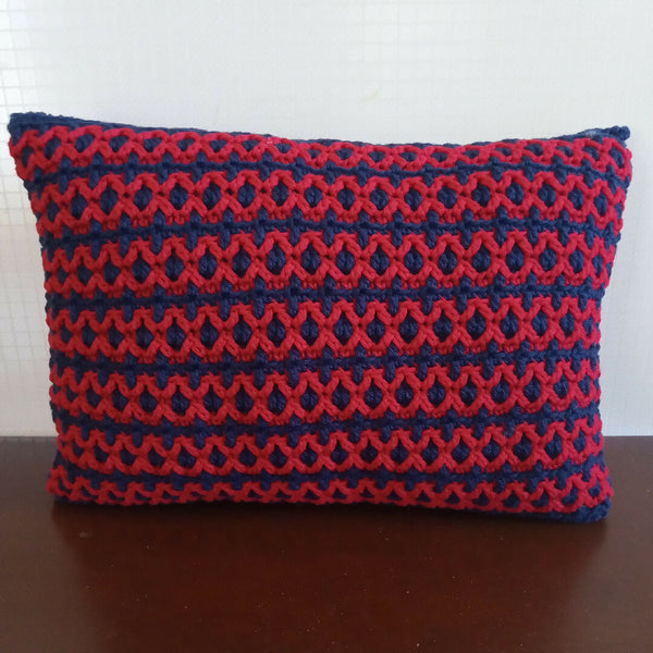 Anatomical Heart Pillow