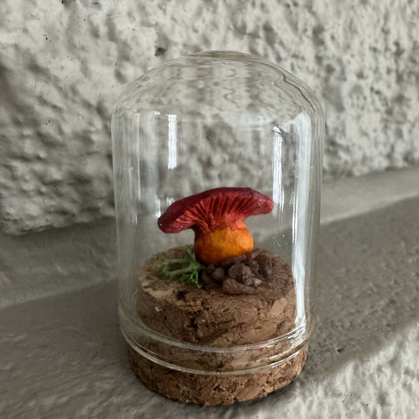 Wee Lil' Terrarium
