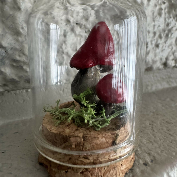 Lil’ Terrarium - Dynamite Duo (medium)