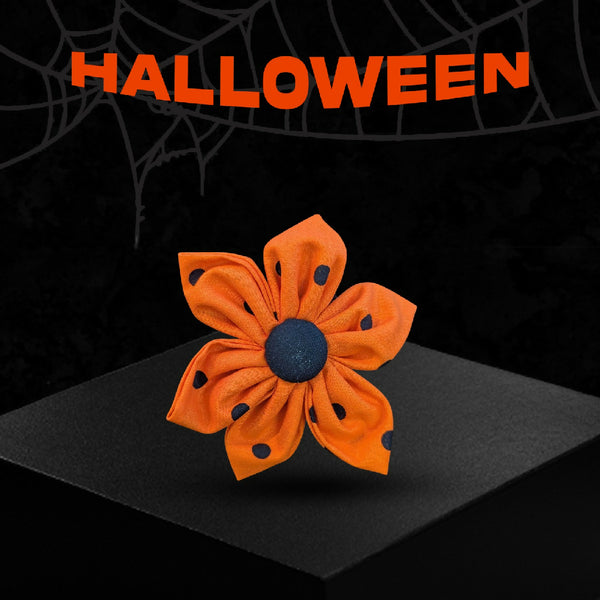 Orange with Black Polka Dot Daisies