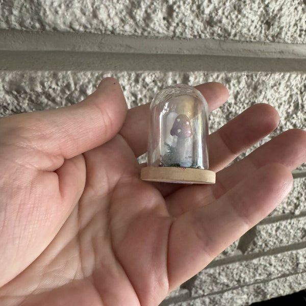 Lil’ Terrarium - Mini Marge (medium)