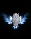 Day_Owl_Wall_Light_1_bcd7c319dd 