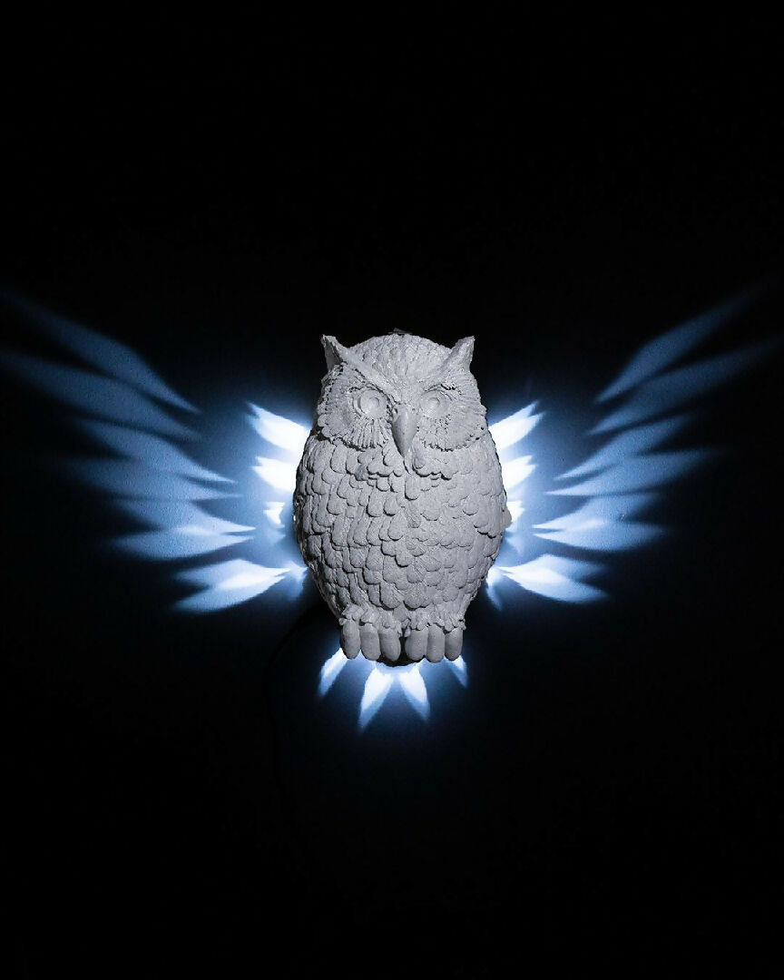 Day_Owl_Wall_Light_1_bcd7c319dd