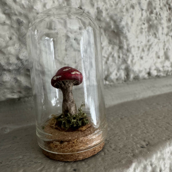 Lil’ Terrarium - Fun Size (medium)