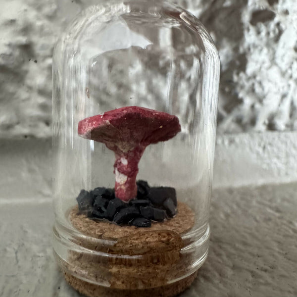 Lil’ Terrarium - Rosa (small)