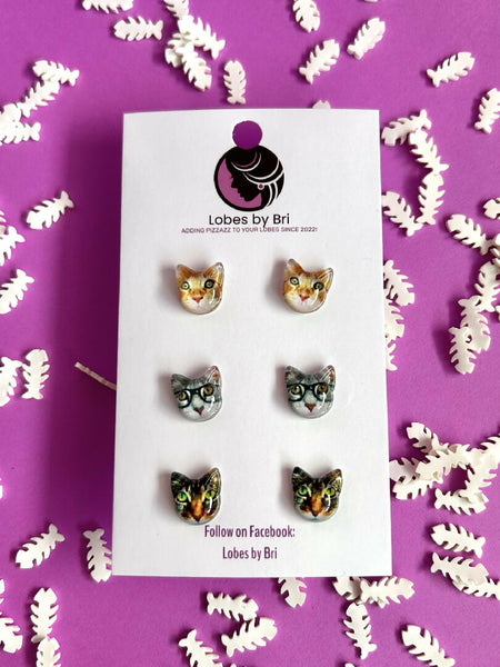 It's Meow or Never - Cat Head 3 Pack - Tabbies