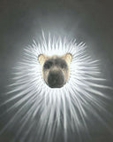 Great_Lion_Wall_Light7_c8e18f8492 