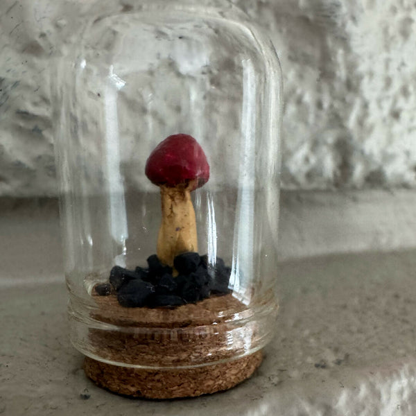 Lil’ Terrarium - Tiny Tim (small)