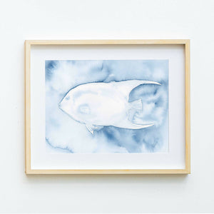 "Under the Sea" - A collection of original watercolour paintings - Shop Motif 