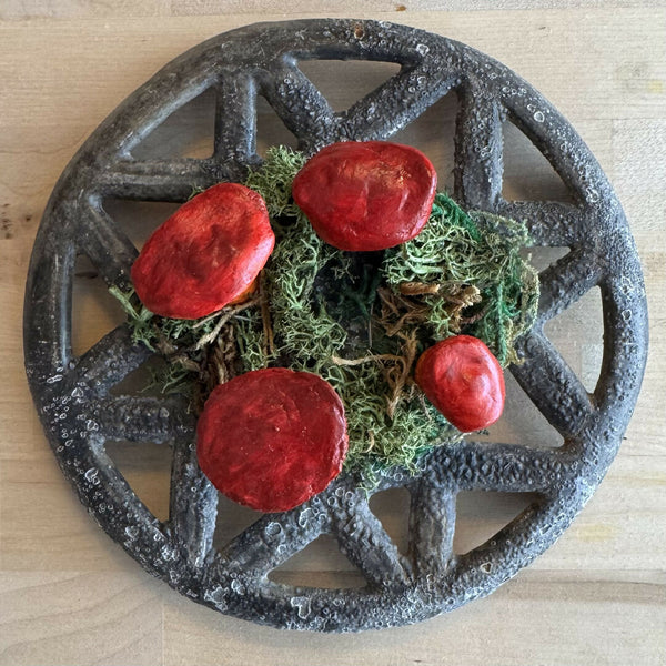 Mushroom Circle Trivet