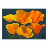 Poppies Card 