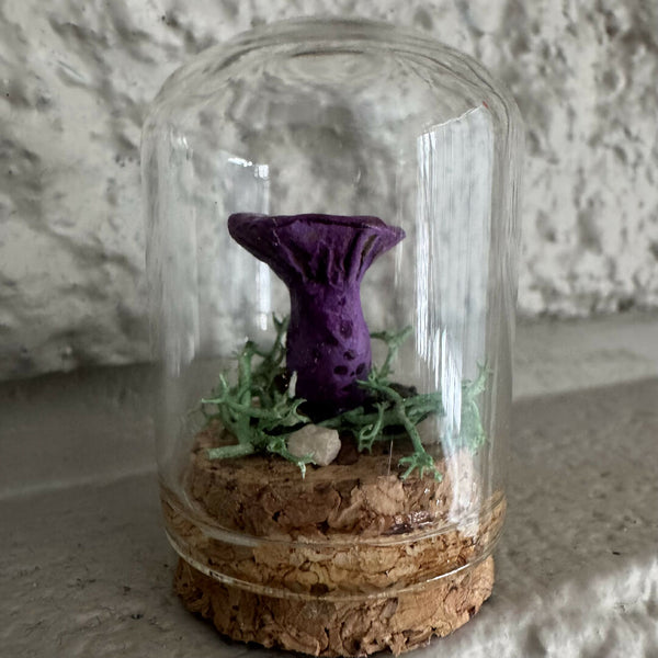 Lil’ Terrarium - Petite Pauline (medium)