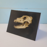 Dire Wolf Skull Card 