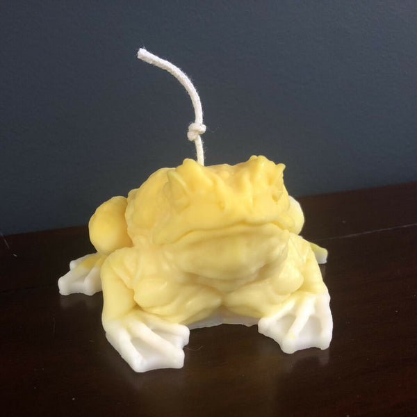Good Clean Fun - Toad Candle