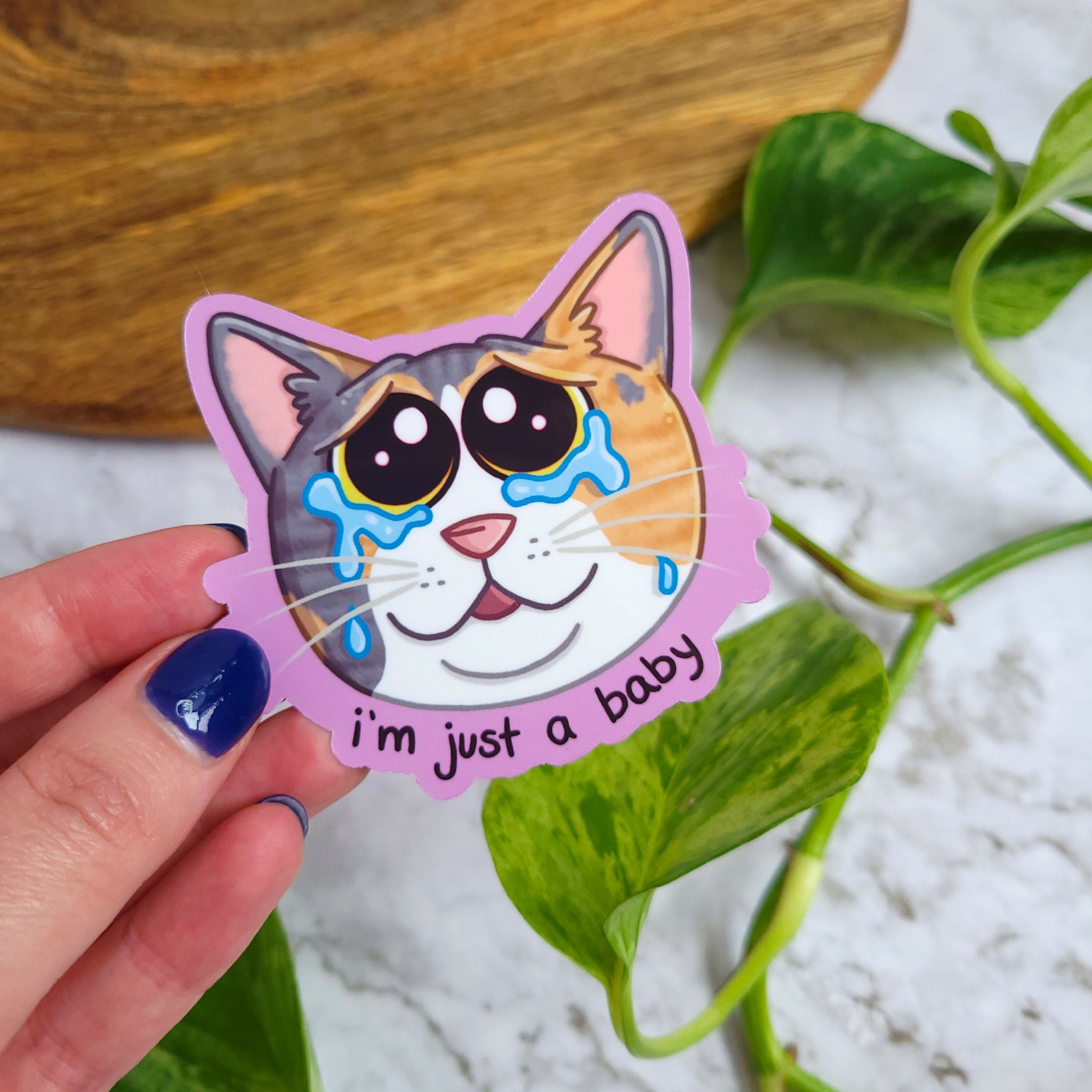 just a bb calico