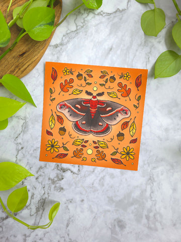 cecropia moth 8x8