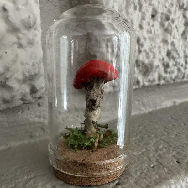 Lil’ Terrarium - Shaggy Sam (medium)